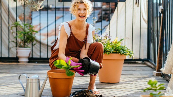 Cosa conviene piantare nell’orto o sul balcone a settembre