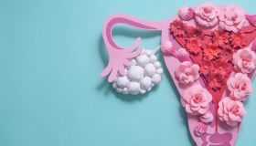 A lezione di anatomia: alla scoperta di vulva, vagina e clitoride