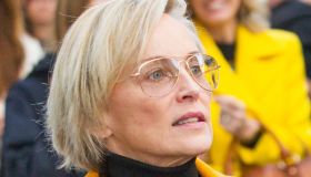 Sharon Stone salta la sfilata di Dolce&Gabbana: il nipotino è gravissimo