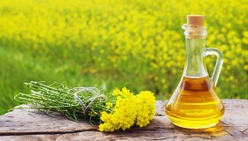 Colza: cos’è e per cosa si usa