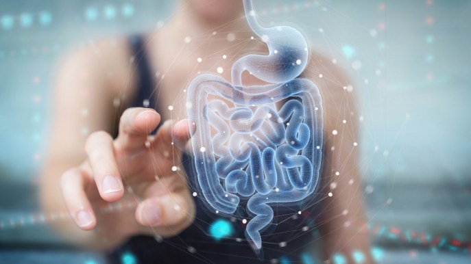 Disbiosi intestinale: cos’è, sintomi e rimedi