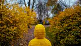 Tessuti biodegradabili: la nuova frontiera delle fibre