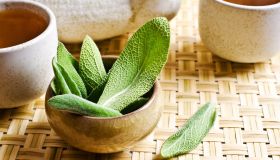 Salvia: proprietà, benefici e utilizzi