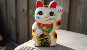 Cos’è il Maneki Neko e quali poteri ha