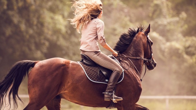 Forza, energia e libertà: il significato spirituale del cavallo