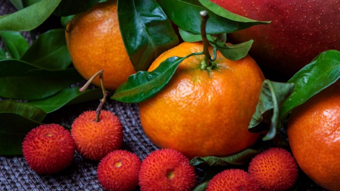 Corbezzolo: la bacca che contiene più vitamina C dell’arancia
