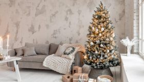 Alberi di Natale: come scegliere quello giusto per la tua casa