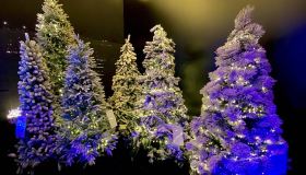 Moranduzzo decora la magia del Natale: tante idee per il tuo albero