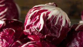 Radicchio: un concentrato di antiossidanti contro l’invecchiamento