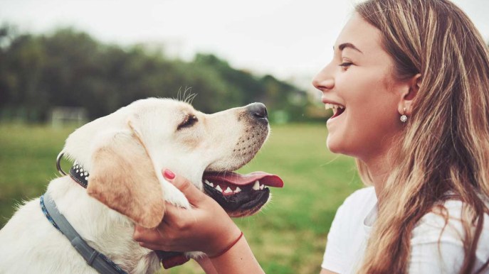 Regali per gli amanti dei cani: 10 idee regalo davvero utili