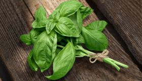 Basilico: benefici, controindicazioni e utilizzi