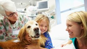 Pet therapy: cos’è, a cosa fa bene e come si fa