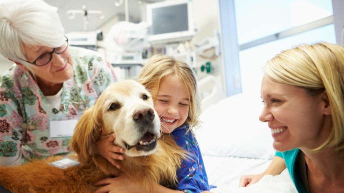 Pet therapy: cos’è, a cosa fa bene e come si fa