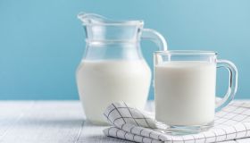 Latte di cavalla: perché berlo, quanto costa e dove trovarlo