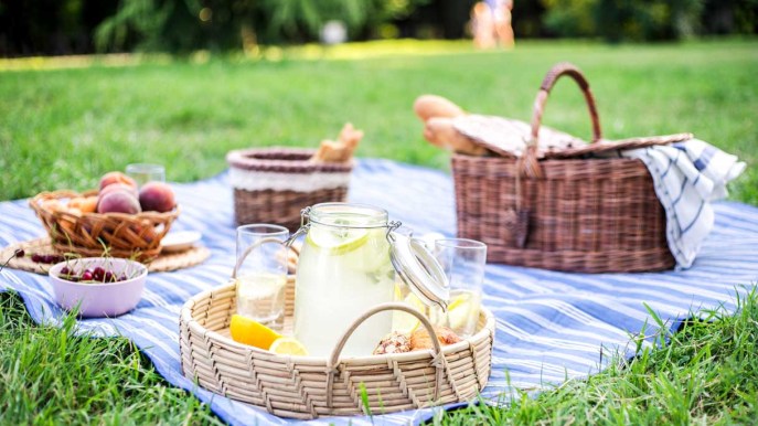 Le 5 migliori coperte per un picnic perfetto