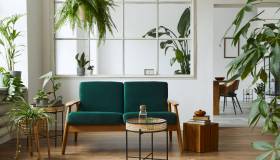 Piante d’appartamento, le migliori per arredare casa