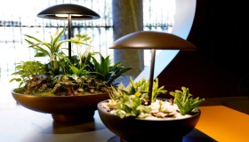 Salone del Mobile 2022: alla scoperta di Design with Nature
