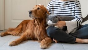 Cane e gatto