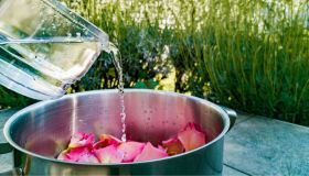 Acqua magica di San Giovanni, perché porta fortuna e come si prepara