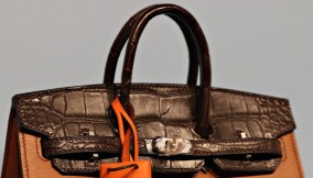 Birkin Faubourg Hérmes