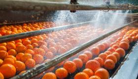 Quanta acqua serve per produrre i cibi che mangiamo?