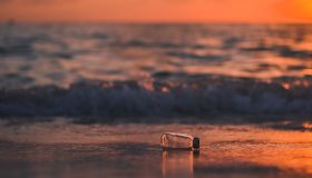 Plastic free July: come rendere la nostra vita senza plastica