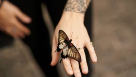 Le più belle ispirazioni per tatuaggi farfalla: scegli il tuo stile 🦋