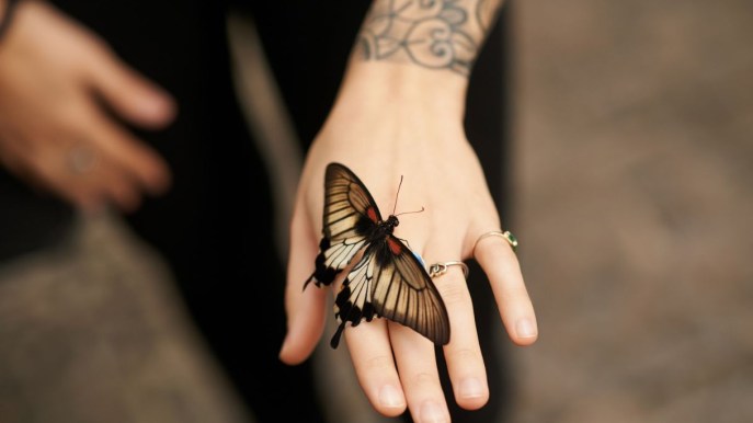 Le più belle ispirazioni per tatuaggi farfalla: scegli il tuo stile 🦋