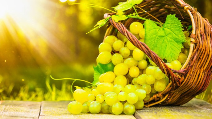 Uva: il frutto ricco di antiossidanti che fa bene a cuore e intestino