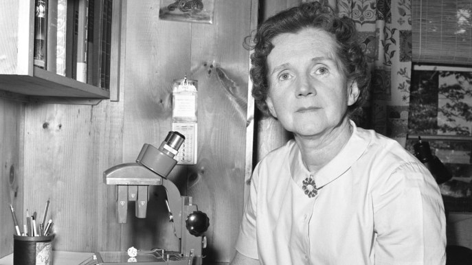 Rachel Carson: storia della madre del movimento ambientalista