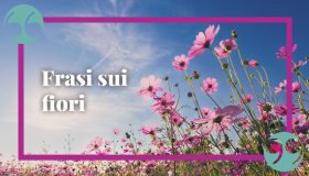 Frasi sui fiori: le più belle citazioni per persone speciali