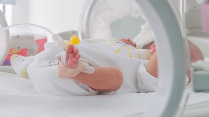 Alessandra, la prima bimba nata da un trapianto di utero