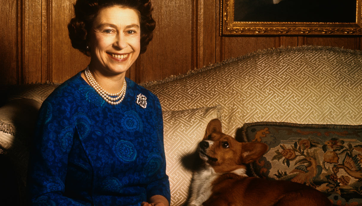 Regina Elisabetta cani