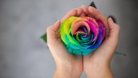 Frasi sui colori, le citazioni e gli aforismi