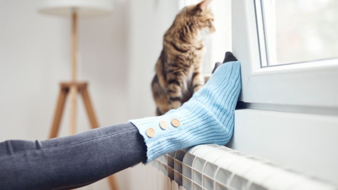 Pannelli termoriflettenti per tenere calda la casa e risparmiare: come funzionano e dove acquistarli