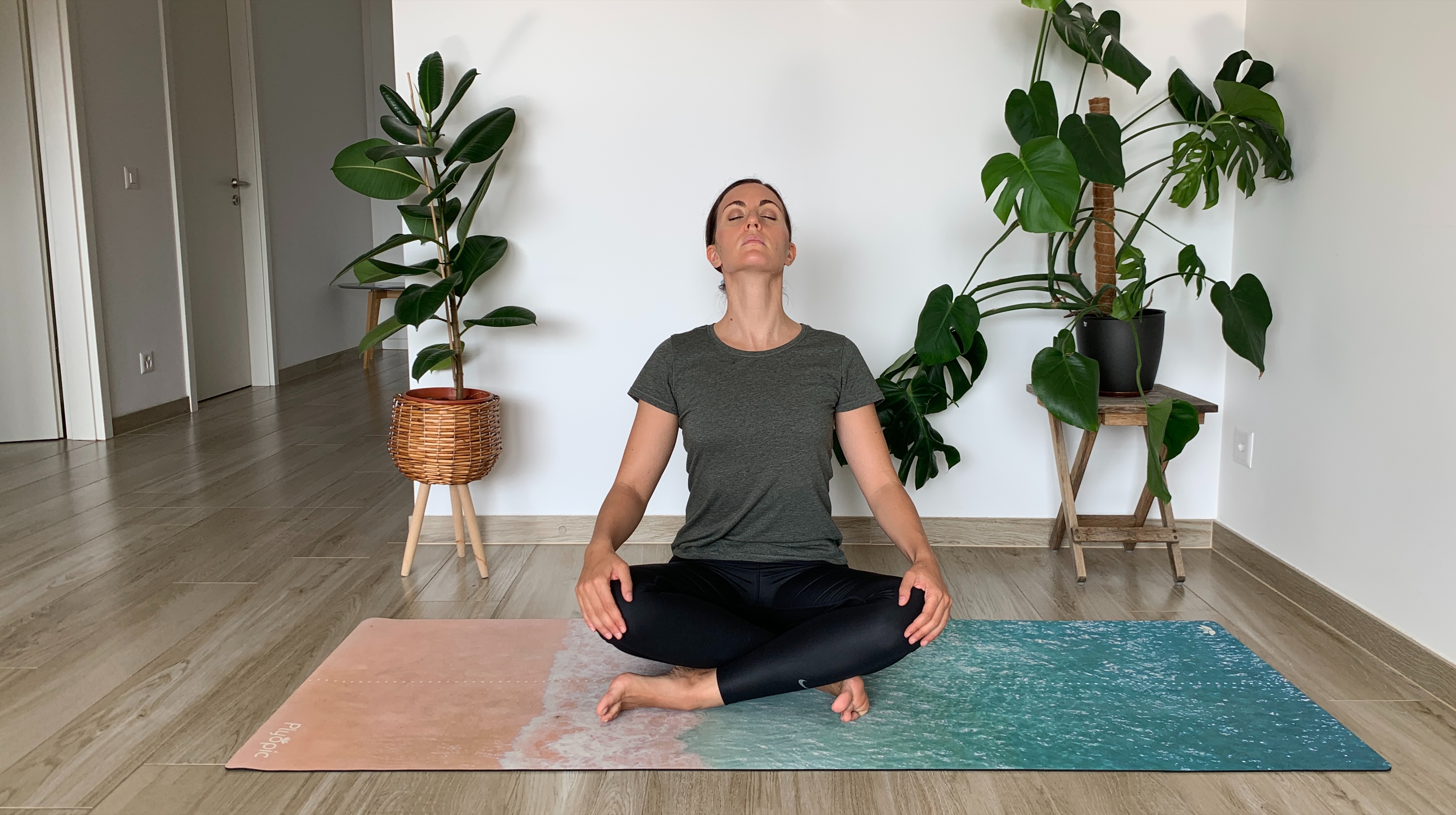 Guida pratica allo Yoga