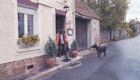 Joan Mitchell, c’era una volta una pittrice