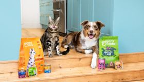 È arrivata la primavera: come prendersi cura degli amici a quattro zampe