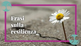 Frasi sulla resilienza, gli aforismi più belli da cui trarre ispirazione