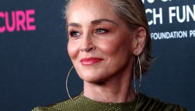 Sharon Stone, emblema di resilienza: splende sul red carpet con l’abito alla greca
