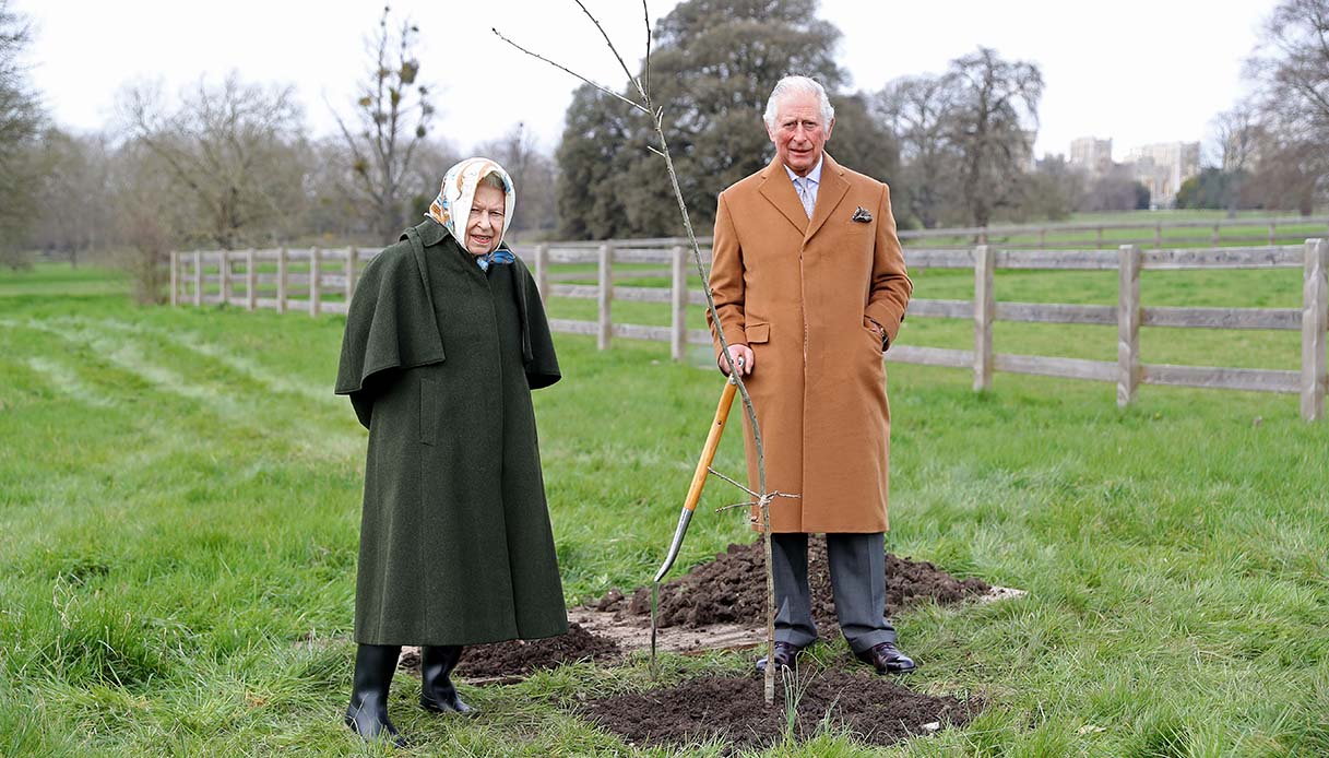 Gli alberi in memoria della Regina Elisabetta
