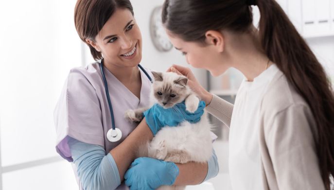 vaccinazione gatto