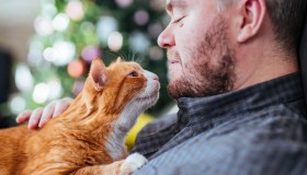 Quanti anni “umani” ha il tuo gatto? Come calcolare la sua età in maniera scientifica