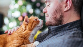 come-calcolare-eta-del-gatto