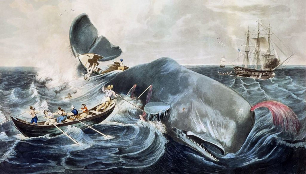 Moby Dick Le Origini Del Capolavoro Di Herman Melville