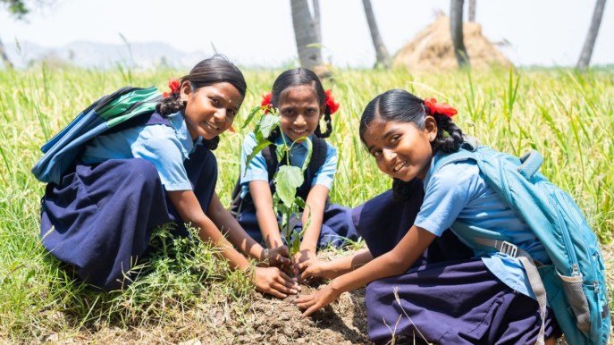 111 alberi per una bambina: la splendida tradizione indiana legata alla nascita