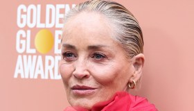 Sharon Stone, il periodo doloroso dopo l’ictus: “Hollywood mi ha snobbata per 20 anni”