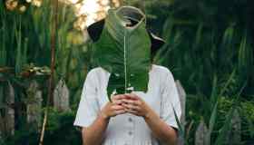 Moda sostenibile e cambiamenti climatici: perché sono legati