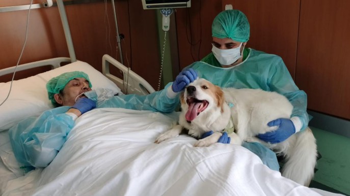Rivede il suo cane dopo un anno in ospedale: l’incontro emozionante tra Buk e Roberto