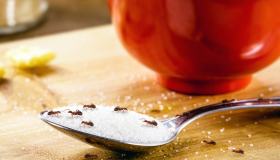 Formiche rosse, perché sono pericolose e come eliminarle in modo naturale